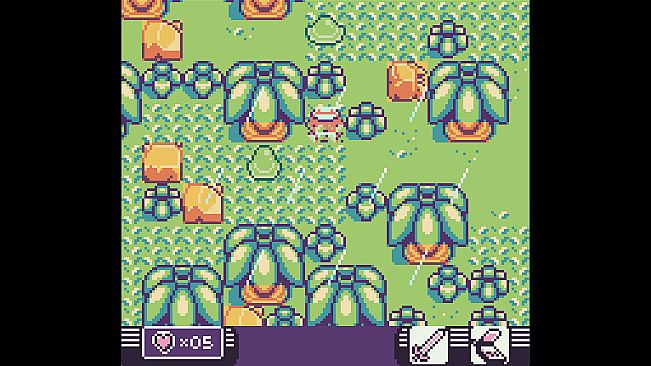 Toni Island Adventure