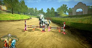 Secret of the Magic Crystals - The Race