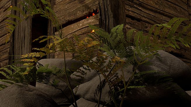 Medieval Life: Chronicles Of Annora