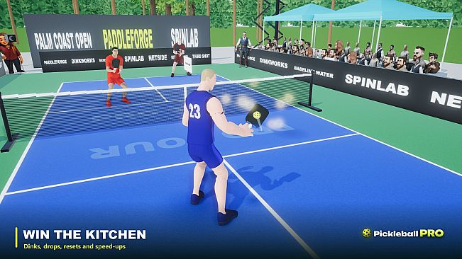 Pickleball Pro