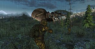 Anomaly Zone Renovation