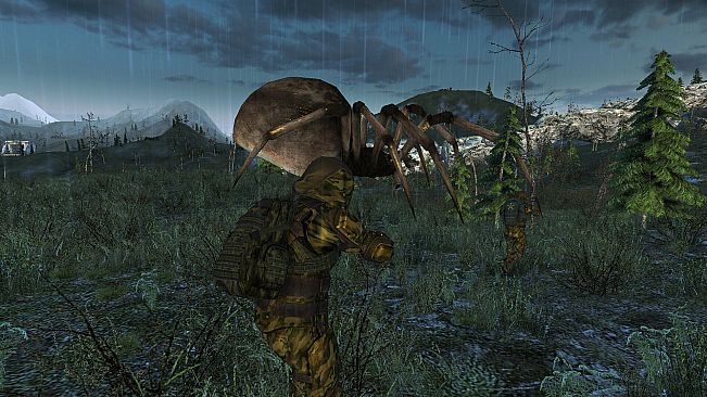 Anomaly Zone Renovation