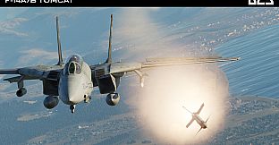 DCS: F-14A/B Tomcat by Heatblur Simulations