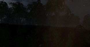 The Home