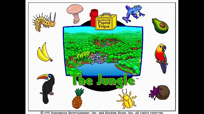 Let's Explore the Jungle (Junior Field Trips)