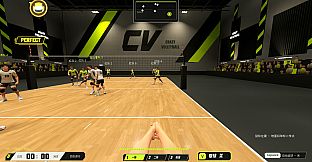 CrazyVolleyball