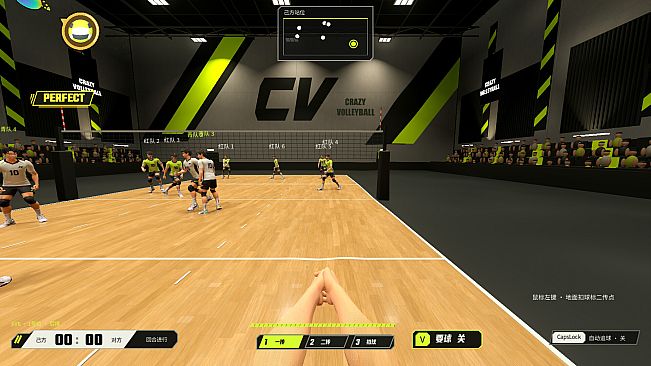 CrazyVolleyball