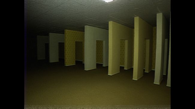 Backrooms: Step Into The Void