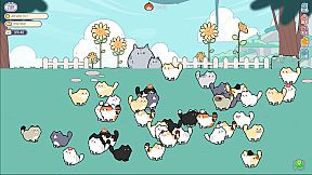 猫语拾光 Cat And Life