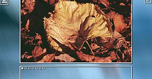 Super Jigsaw Puzzle: Generations - Autumn Puzzles