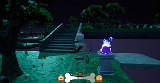 Bony Bones Adventures