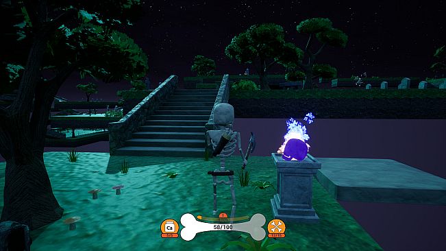 Bony Bones Adventures