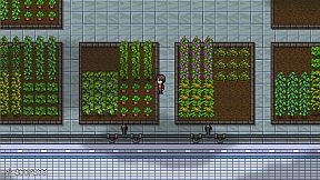 天台物语 Rooftop Story