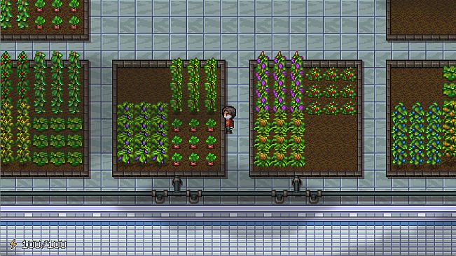 天台物语 Rooftop Story