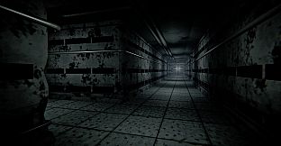 Observation Protocol: The Observed