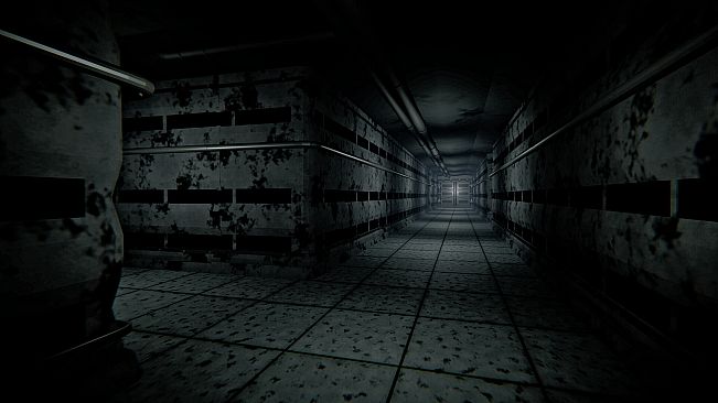 Observation Protocol: The Observed