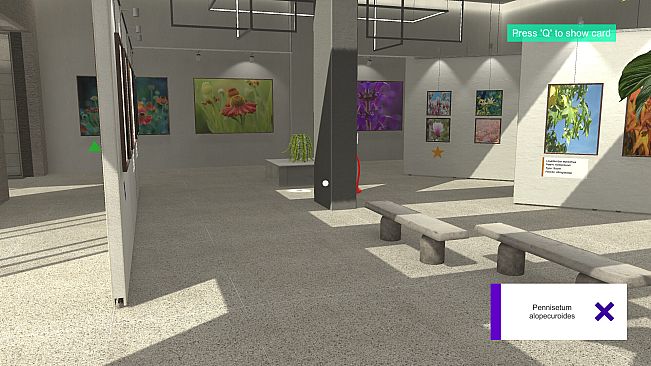 Plant Gallery: A Short Botanic Experience