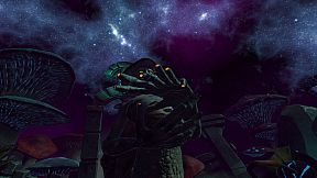 A Fungus In My Garden