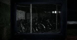 Midnight Watch