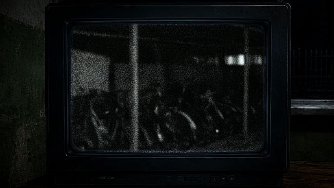 Midnight Watch