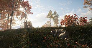 theHunter: Call of the Wild - Labrador Retriever