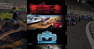 Sim Racing Telemetry - F1 2019