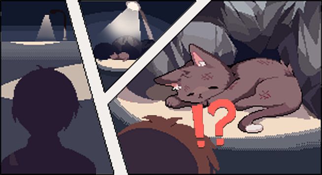 I got a millenary cat