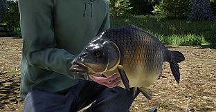 Fishing Sim World: Pro Tour - Giant Carp Pack