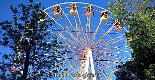 Kitten adventures in city park - Bonus Content