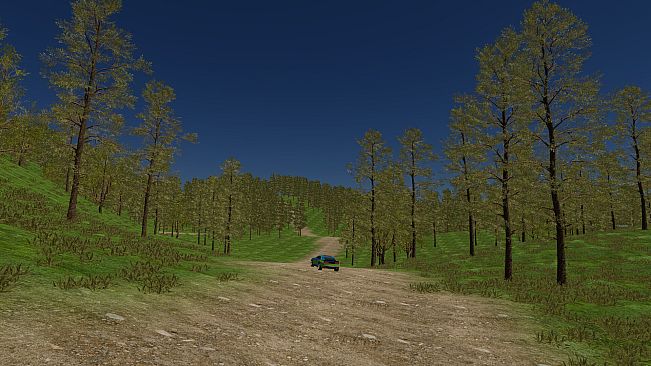 Poland Car Simulator