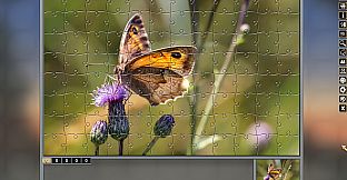 Pixel Puzzles Traditional Jigsaws Pack: Variety Pack 10