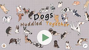 Dogs Huddled Together 挤在一起的狗狗们