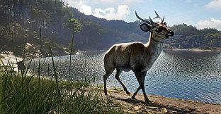 theHunter: Call of the Wild - Emerald Coast Australia