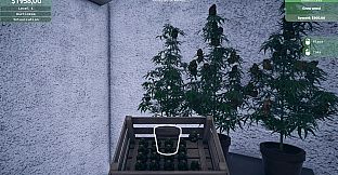 Weed Supermarket Simulator