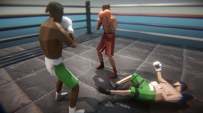 Influencer Boxing