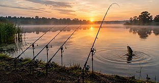 Puzzles Fishing