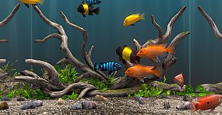 Behind Glass: Aquarium Simulator - Decoration Pack