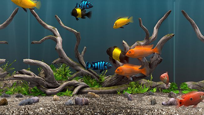 Behind Glass: Aquarium Simulator - Decoration Pack