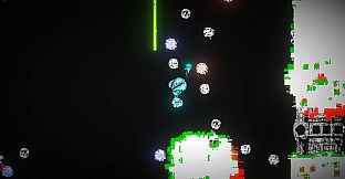 seed