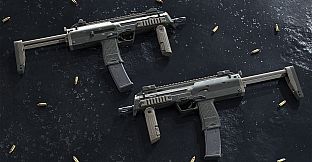 Insurgency: Sandstorm - Two-Tone Weapon Skin Set