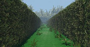 maze to the old castle