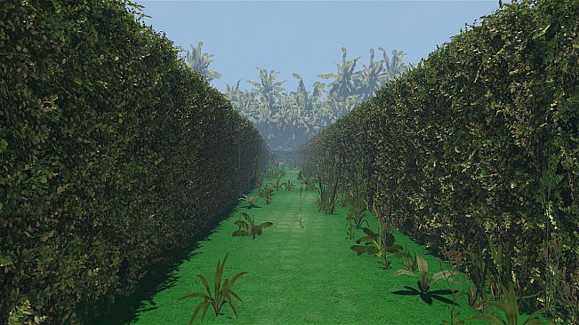 maze to the old castle