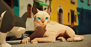Cat a Photo