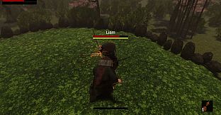 Way of the Warrior