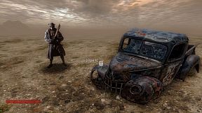 Wild Cats of Wasteland