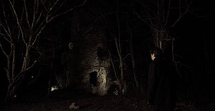 The Traveller's Sight