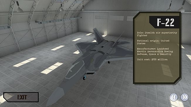 Air Combat Arena