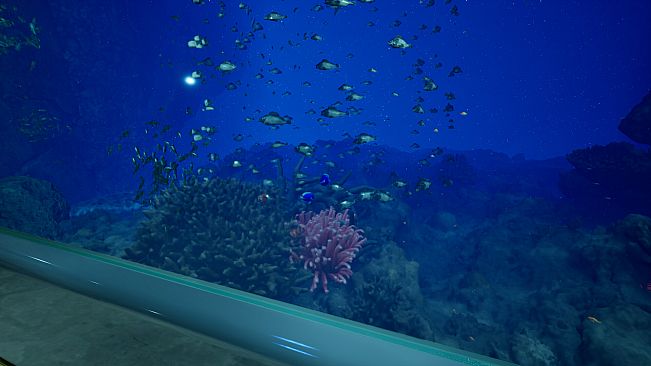 Aquarium at August 32nd