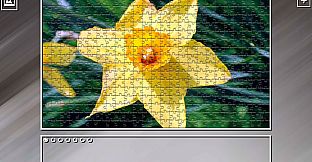 Super Jigsaw Puzzle: Generations - Flowers 2