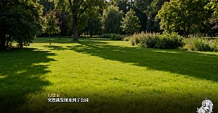 A Dreamer's White Night